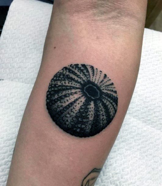 Distinctive Female Sea Urchin Tattoo Designs