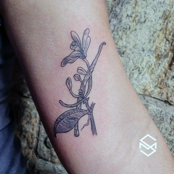 Distinctive Female Vanilla Tattoo Designs