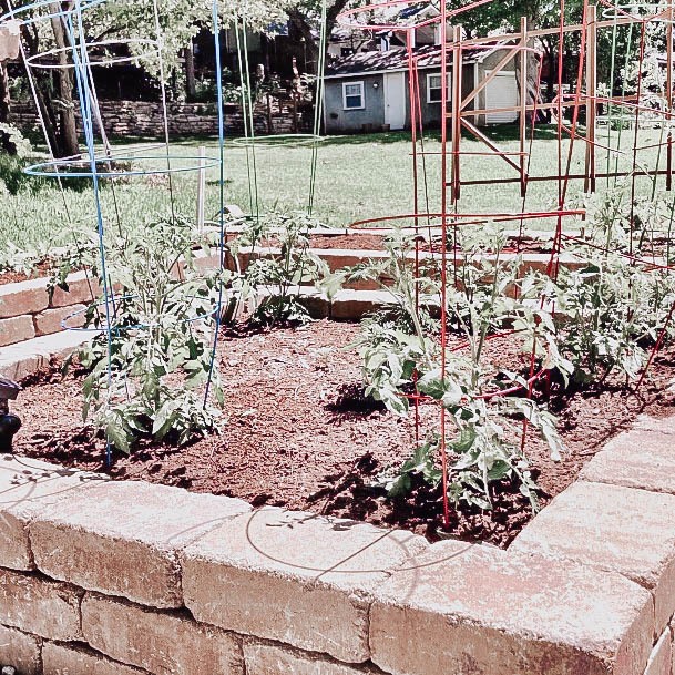 Diy Brick Raised Garden Beds