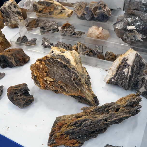 Druzy Petrified Wood Denver Gem And Mineral Show