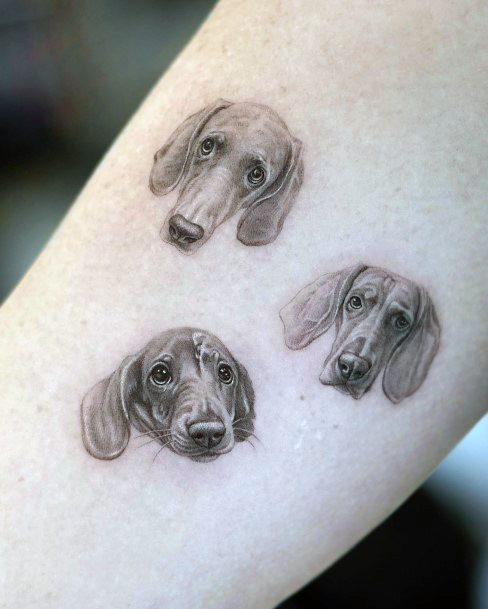 Elaborate Styles For Womens Dachshund Tattoo