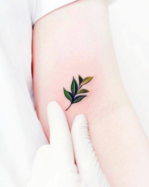 Elaborate Styles For Womens Leaf Tattoo