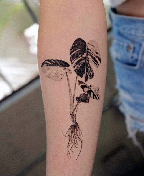 Elaborate Styles For Womens Monstera Tattoo