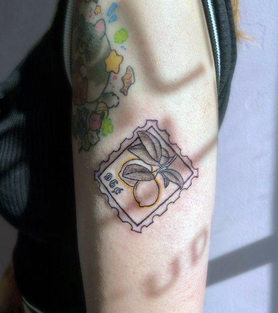 Elaborate Styles For Womens Postage Stamp Tattoo