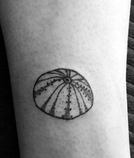 Elaborate Styles For Womens Sea Urchin Tattoo