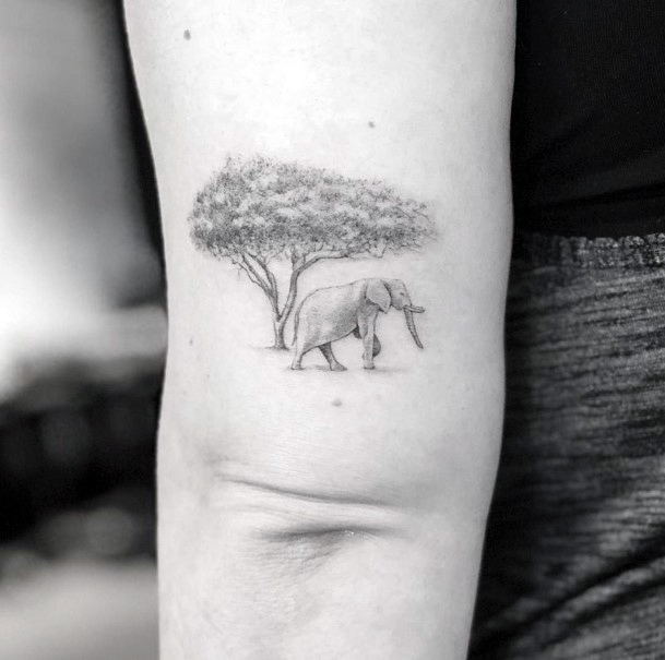 Elephant And Tree Tattoo Womens Arms