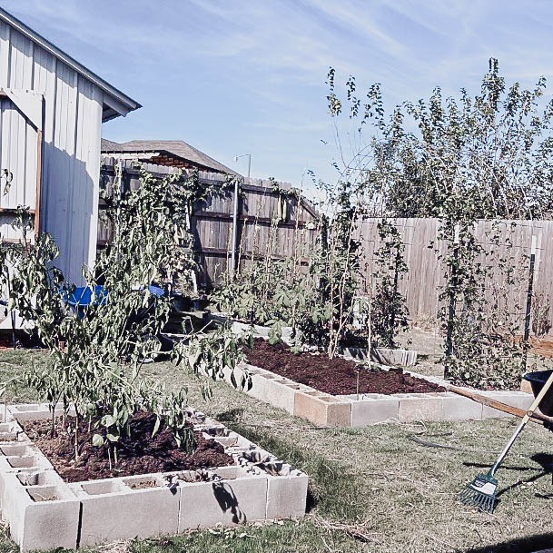 Elevanted Garden Bed Planters Cinderblock