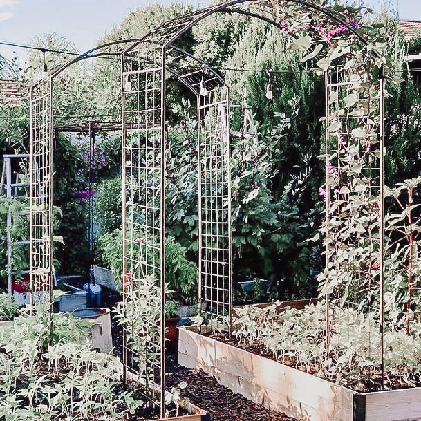 Elevated Bed For Planting Garden Best