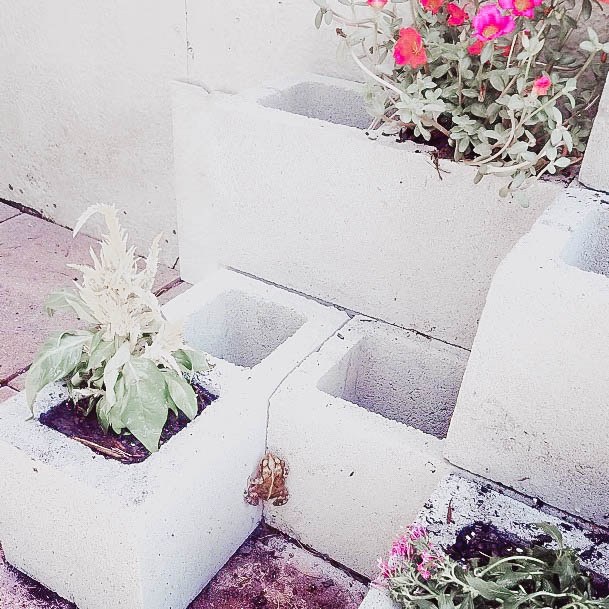 Elevated Bed For Planting Garden Cinderblock