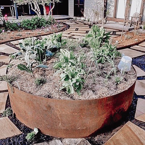 Elevated Bed For Planting Garden Metal