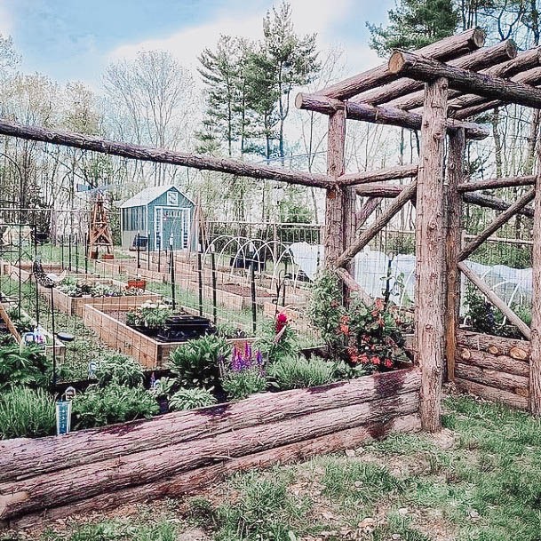 Elevated Bed For Planting Garden Wood