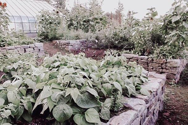 Elevated Garden Bed Box Designs Stone Rock