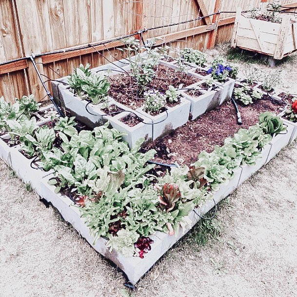 Elevated Garden Beds Cinderblock