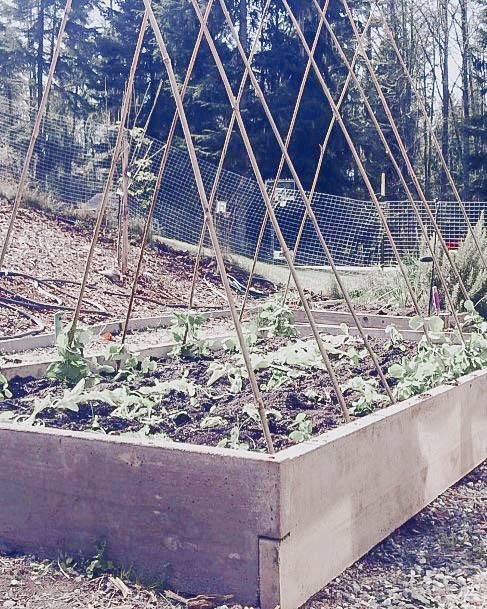 Elevated Garden Beds Wood