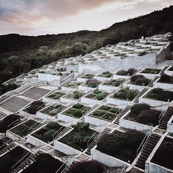 Elevated Garden With Concrete