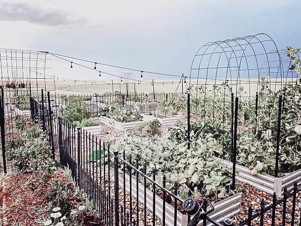 Elevated Garden With Galvanized