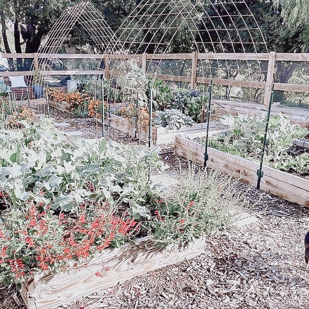 Elevated Raised Garden Beds Best