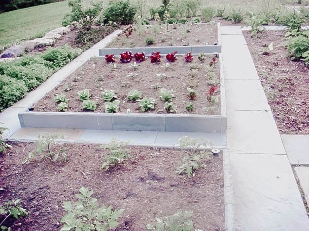 Elevated Raised Garden Beds Concrete