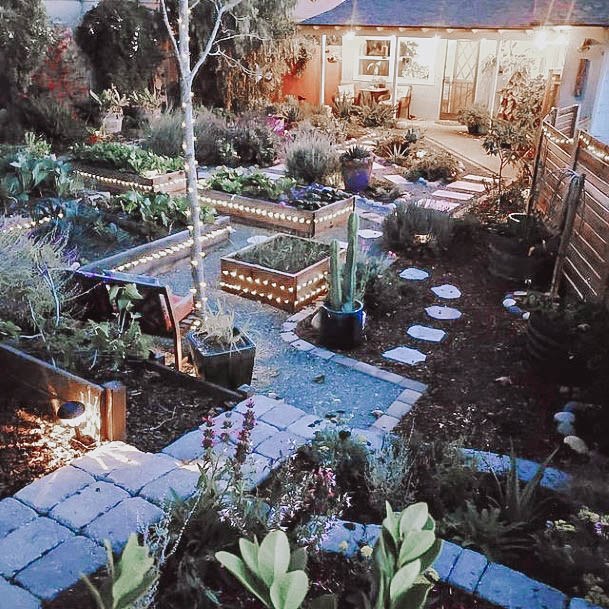 Elevated Wood Garden Ideas For Beds