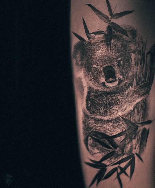 Enchanting Koala Tattoo Ideas For Women