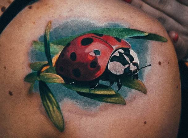 Enchanting Ladybug Tattoo Ideas For Women