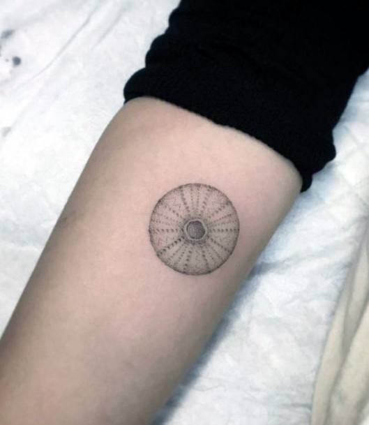 Enchanting Sea Urchin Tattoo Ideas For Women