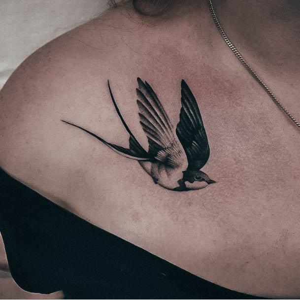 Enchanting Swallow Tattoo Ideas For Women