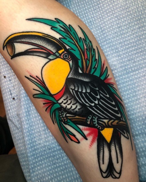 Enchanting Toucan Tattoo Ideas For Women