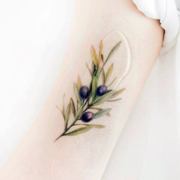 Excellent Girls Olive Tree Tattoo Design Ideas