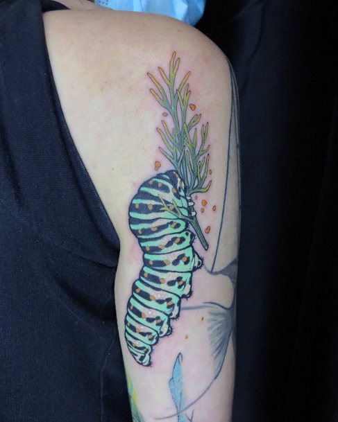 Exceptional Womens Caterpillar Tattoo Ideas