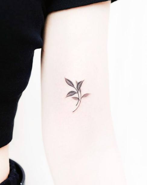 Exceptional Womens Leaf Tattoo Ideas