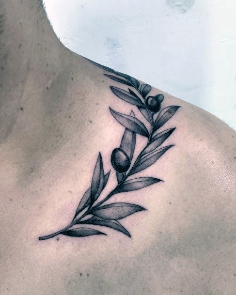 Exceptional Womens Olive Branch Tattoo Ideas