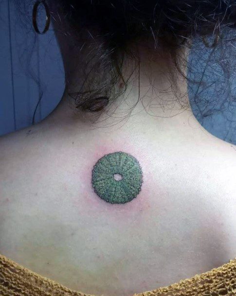 Exceptional Womens Sea Urchin Tattoo Ideas