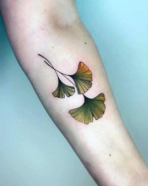 Exquisite Ginkgo Tattoos On Girl