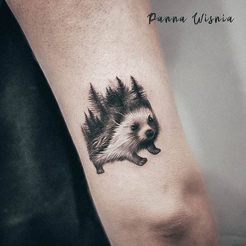 Exquisite Porcupine Tattoos On Girl