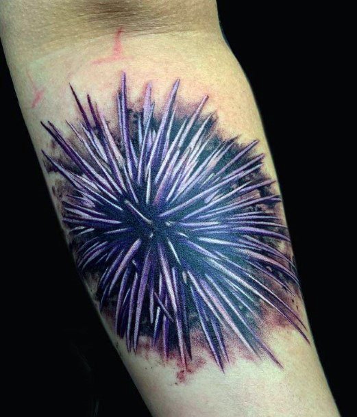 Exquisite Sea Urchin Tattoos On Girl
