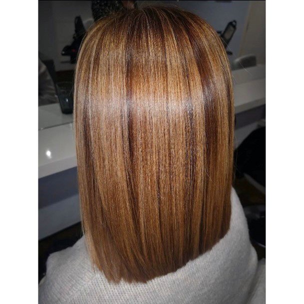 Extremely Shiny Reddish Brown Highlighted Sleek Straight Womens Hairstyle Idea