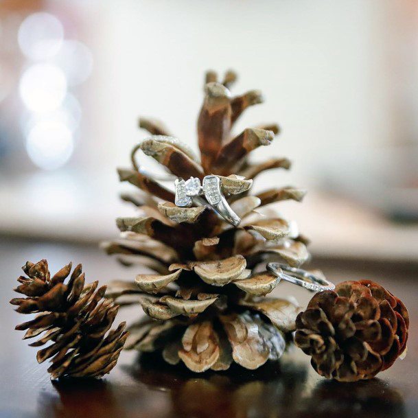 Fall Wedding Ideas Rustic Pinecone Wedding Ring Photo Inspiration