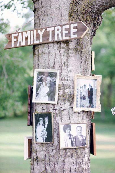 Family Tree Pictures Wedding Tree Decor