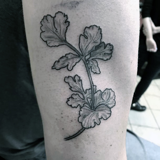 Fantastic Coriander Tattoo For Women