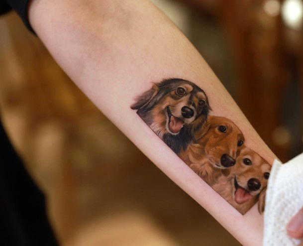 Fantastic Dachshund Tattoo For Women