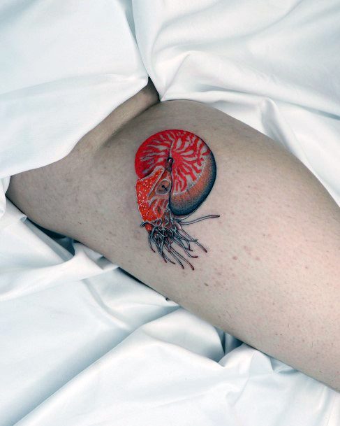 Fantastic Nautilus Tattoo For Women