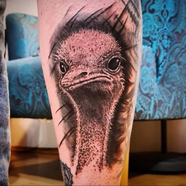 Top 100 Best Ostrich Tattoos For Women Feathered Bird Design Ideas