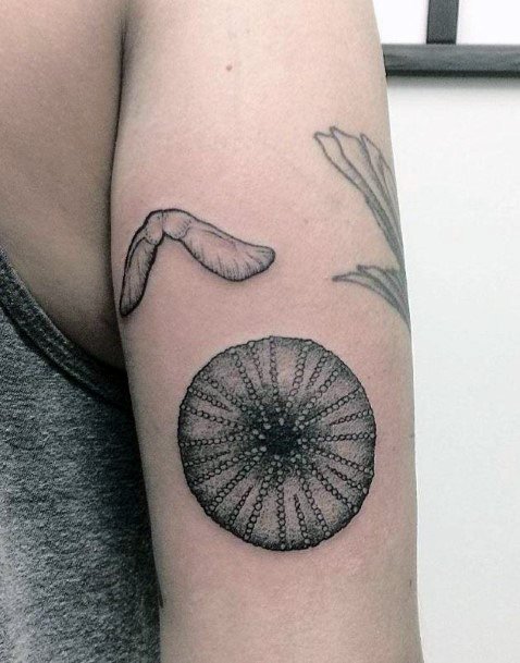 Fantastic Sea Urchin Tattoo For Women