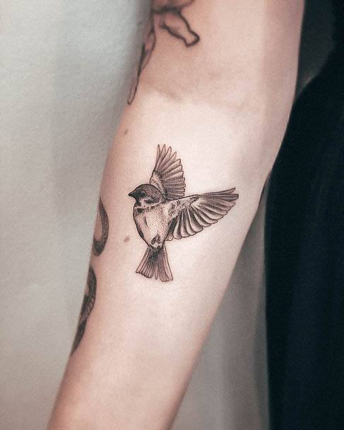 Fantastic Small Sparrow Tattoo For Women