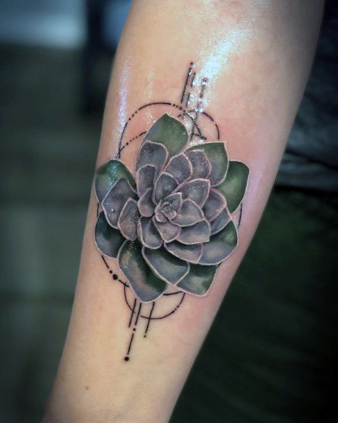 Fantastic Succulent Tattoo For Women