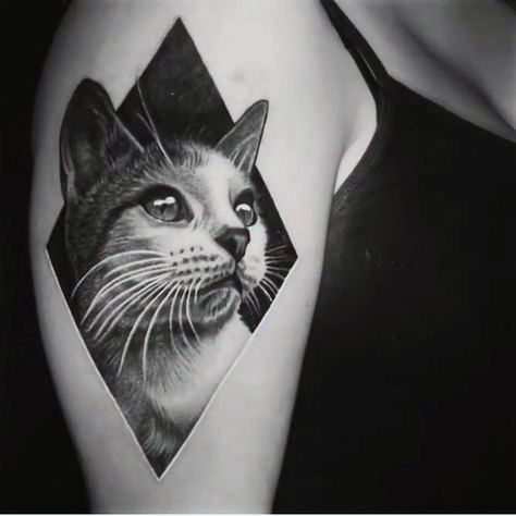 Feline Cat Tattoo For Women On Arms Art