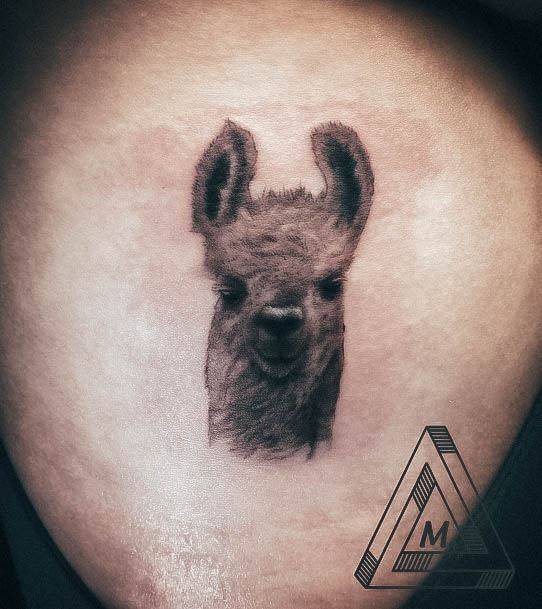 Female Alpaca Tattoos