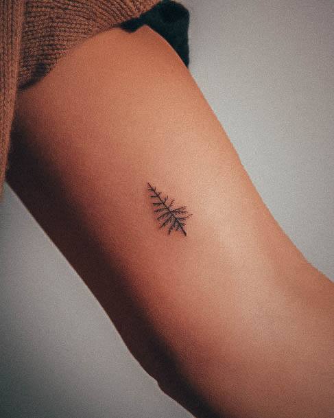 Female Cool Pine Tree Tattoo Ideas