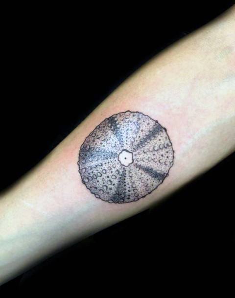 Female Cool Sea Urchin Tattoo Design
